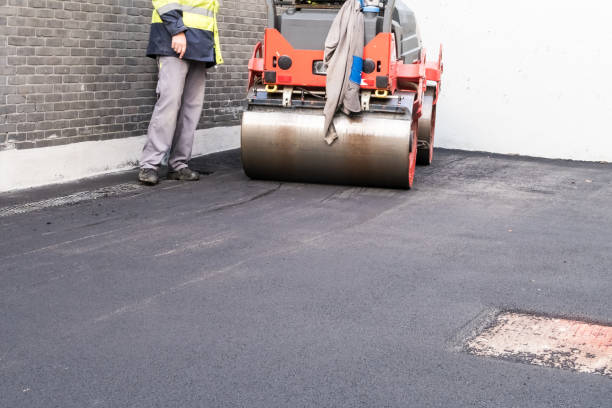 Best Driveway Border and Edging  in Springfield, VA